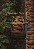 Growing Sweet Potatoes for Market — Turn Your Crop Into Cash