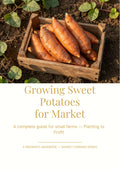 How to Grow Sweet Potatoes for Market: Planting to Profit Guide